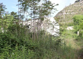 Foto 4 - Terreno agricolo contrada Fiumara, Noto - foto 4