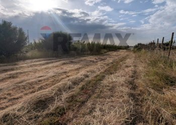 Non correlato - Terreno agricolo Contrada fondo Salina, Vittoria - foto 7