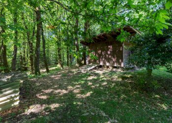 Giardino - Villa via Pandorè, Montegrino Valtravaglia - photo 33