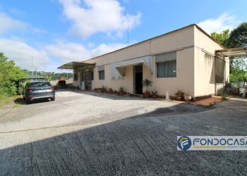 Foto 1 - Warehouse Via Francesca, Santa Maria a Monte - photo 1
