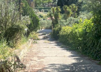 Giardino - Villa Contrada Rocca Catalano, Bolognetta - foto 6