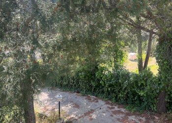 Giardino - Villa Contrada Rocca Catalano, Bolognetta - foto 21