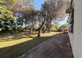 Giardino - Villa Strada Franzullo
 
137, Martina Franca - photo 10