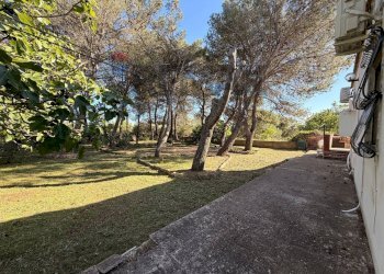 Giardino - Villa Strada Franzullo
 
137, Martina Franca - photo 11