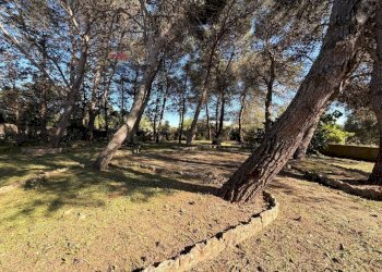 Giardino - Villa Strada Franzullo
 
137, Martina Franca - photo 17