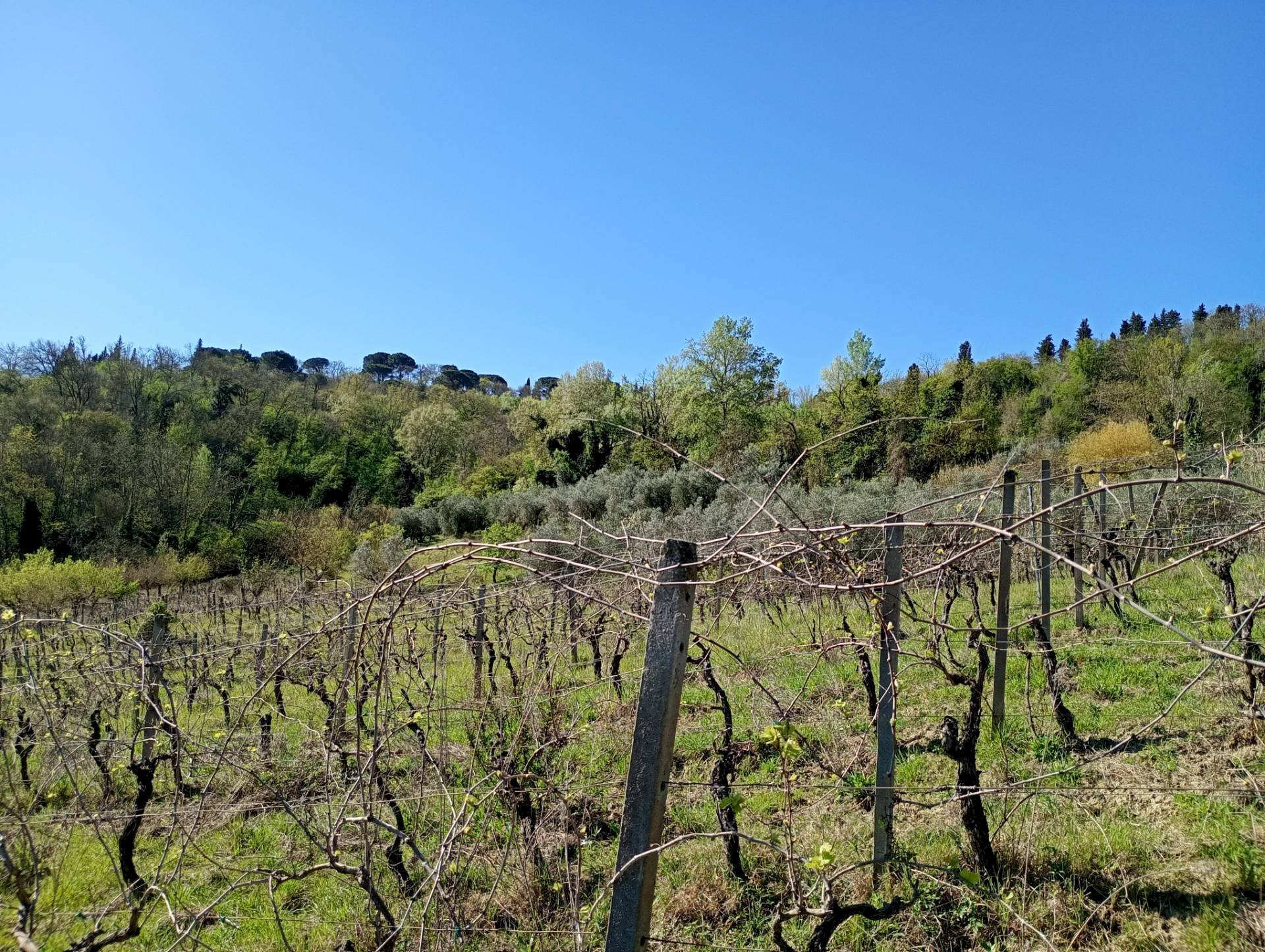 Foto 3 - Rustic Via Trecento, Montespertoli - photo 3