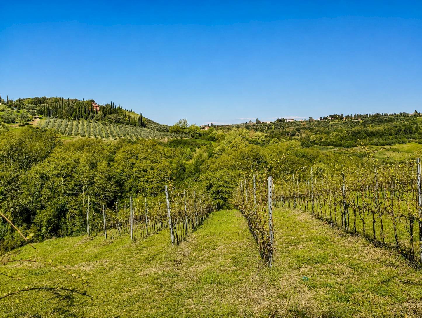 Foto 1 - Rustic Via Trecento, Montespertoli - photo 1