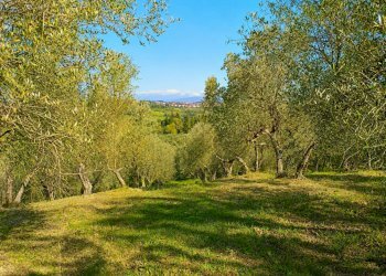 Foto 3 - Rustico Via Trecento, Montespertoli - foto 3