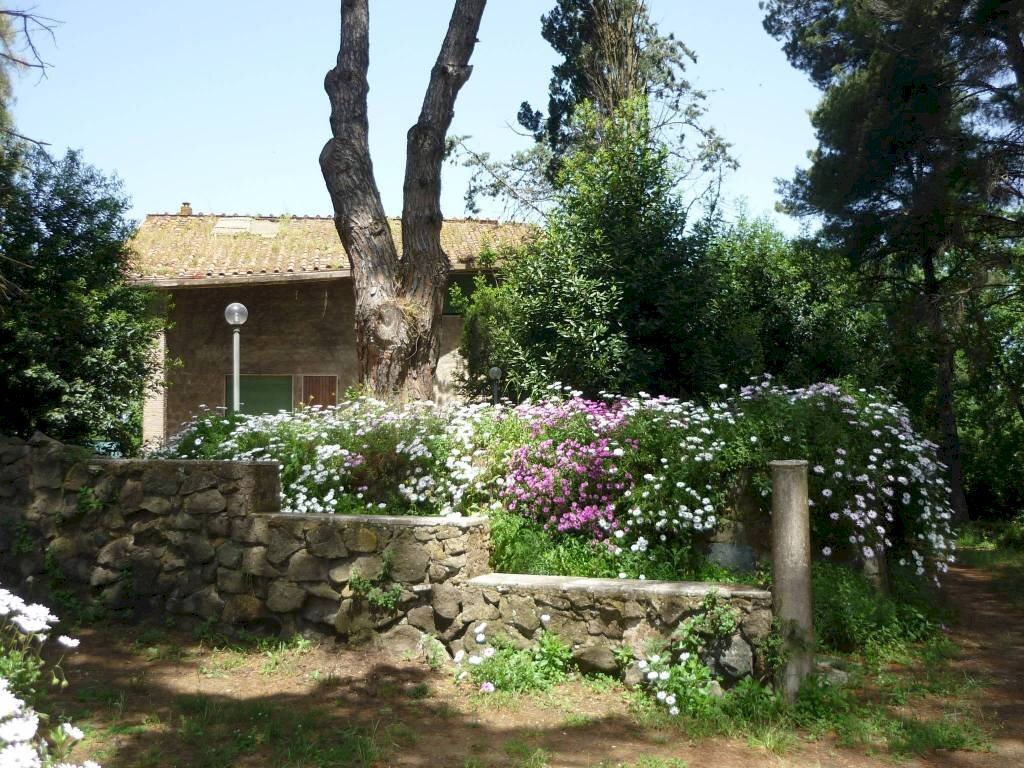 Terreno - Villa via Aurelia, 2497, Fiumicino - foto 1