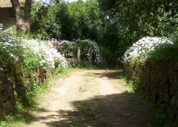 Terreno - Villa via Aurelia, 2497, Fiumicino - foto 11