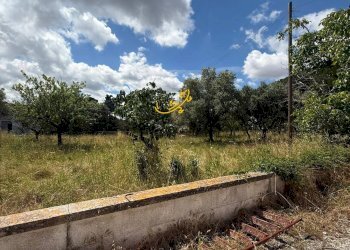 Foto 32 - Rustico Contrada Cozzana, Monopoli - foto 32
