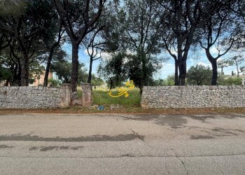 Foto 16 - Rustico Contrada Cozzana, Monopoli - foto 16