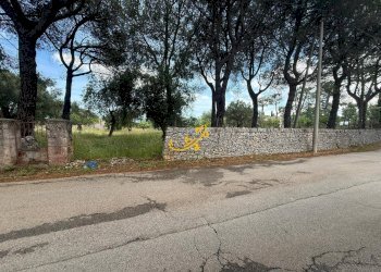 Foto 18 - Rustico Contrada Cozzana, Monopoli - foto 18