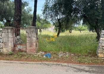 Foto 14 - Rustico Contrada Cozzana, Monopoli - foto 14