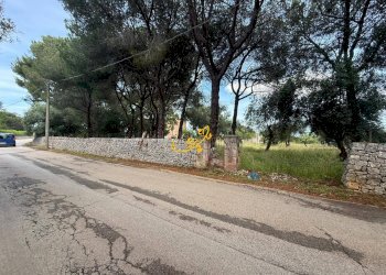Foto 15 - Rustico Contrada Cozzana, Monopoli - foto 15