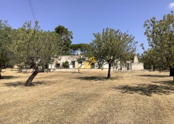 Foto 3 - Rustico Contrada Cozzana, Monopoli - foto 3