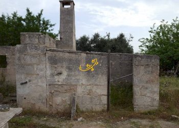 Foto 4 - Rustico Contrada Cozzana, Monopoli - foto 4