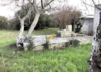 Foto 13 - Rustico Contrada Cozzana, Monopoli - foto 13
