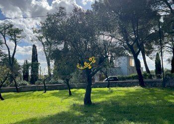 Foto 6 - Rustico Contrada Cozzana, Monopoli - foto 6