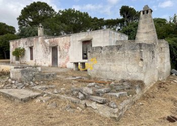 Foto 34 - Rustico Contrada Cozzana, Monopoli - foto 34