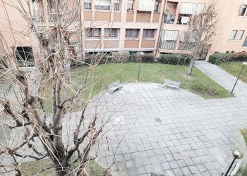 Giardino - Quadrilocale via Martiri di Monte Sole, 9, Bologna (zona Bolognina) - foto 33