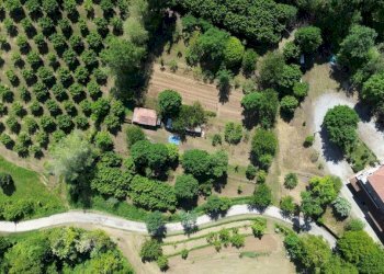 Vista - Villa Località Noè, Roddino - foto 42