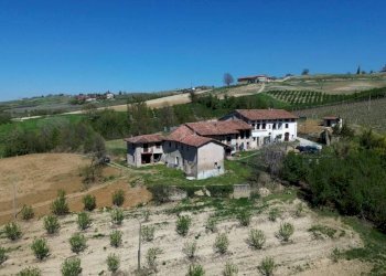Terreno - Rustico Località San Sebastiano, Monforte d'Alba - foto 20