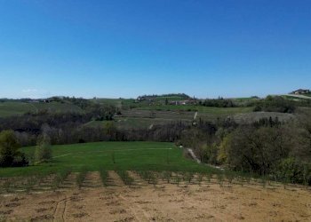 Terreno - Rustico Località San Sebastiano, Monforte d'Alba - foto 23