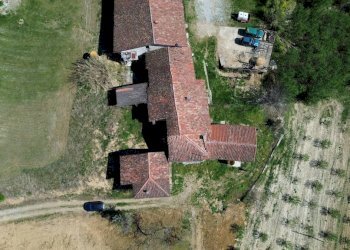 Terreno - Rustico Località San Sebastiano, Monforte d'Alba - foto 25