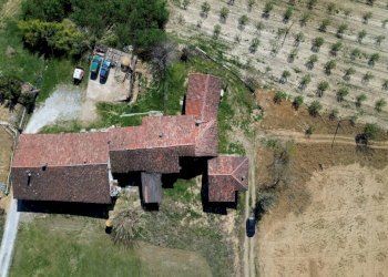 Terreno - Rustico Località San Sebastiano, Monforte d'Alba - foto 26