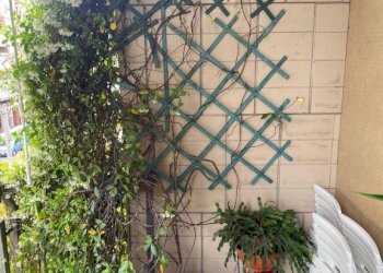 Balcone - Appartamento via Gioele Solari, 21, Torino - foto 12