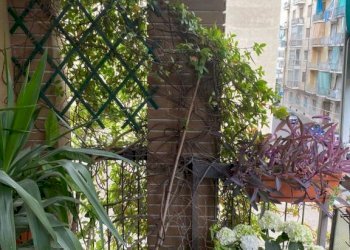 Balcone - Appartamento via Gioele Solari, 21, Torino - foto 13