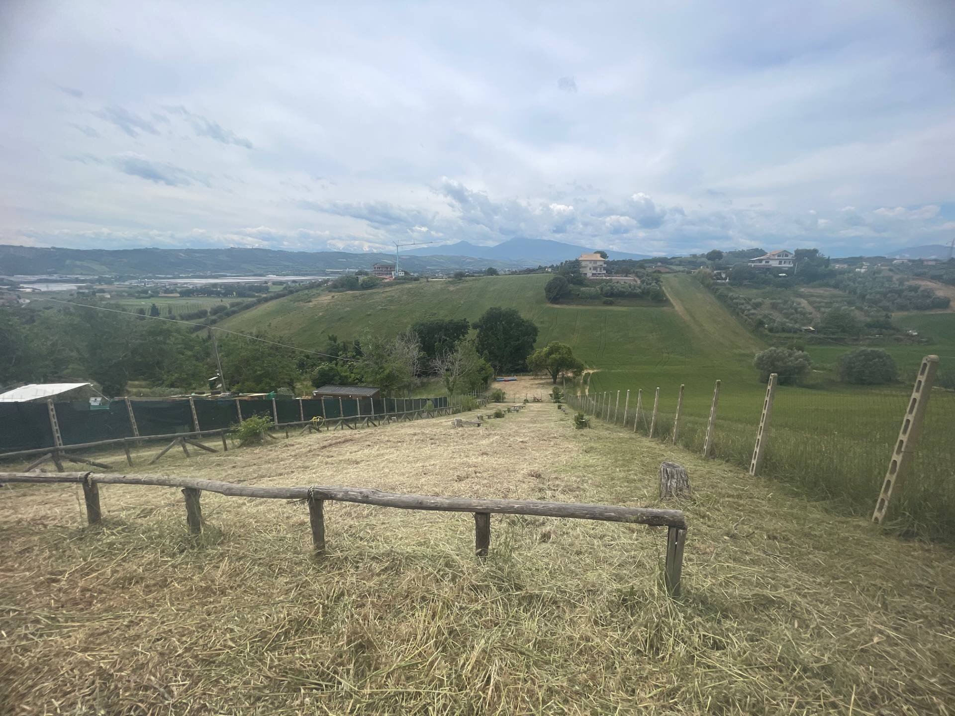 Foto 3 - Terreno agricolo Contrada Spaigge, Monteprandone - foto 3