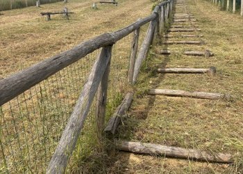 Foto 4 - Terreno agricolo Contrada Spaigge, Monteprandone - foto 4