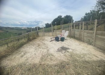 Foto 5 - Terreno agricolo Contrada Spaigge, Monteprandone - foto 5