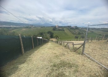 Foto 6 - Terreno agricolo Contrada Spaigge, Monteprandone - foto 6