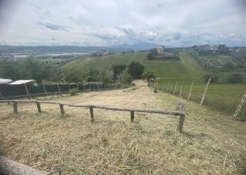 Foto 7 - Terreno agricolo Contrada Spaigge, Monteprandone - foto 7