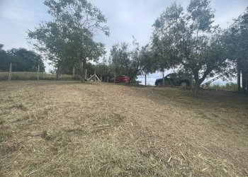 Foto 9 - Terreno agricolo Contrada Spaigge, Monteprandone - foto 9