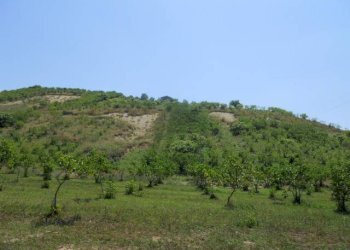Foto 11 - Shed Via Menocchia
25-28, Carassai - photo 11
