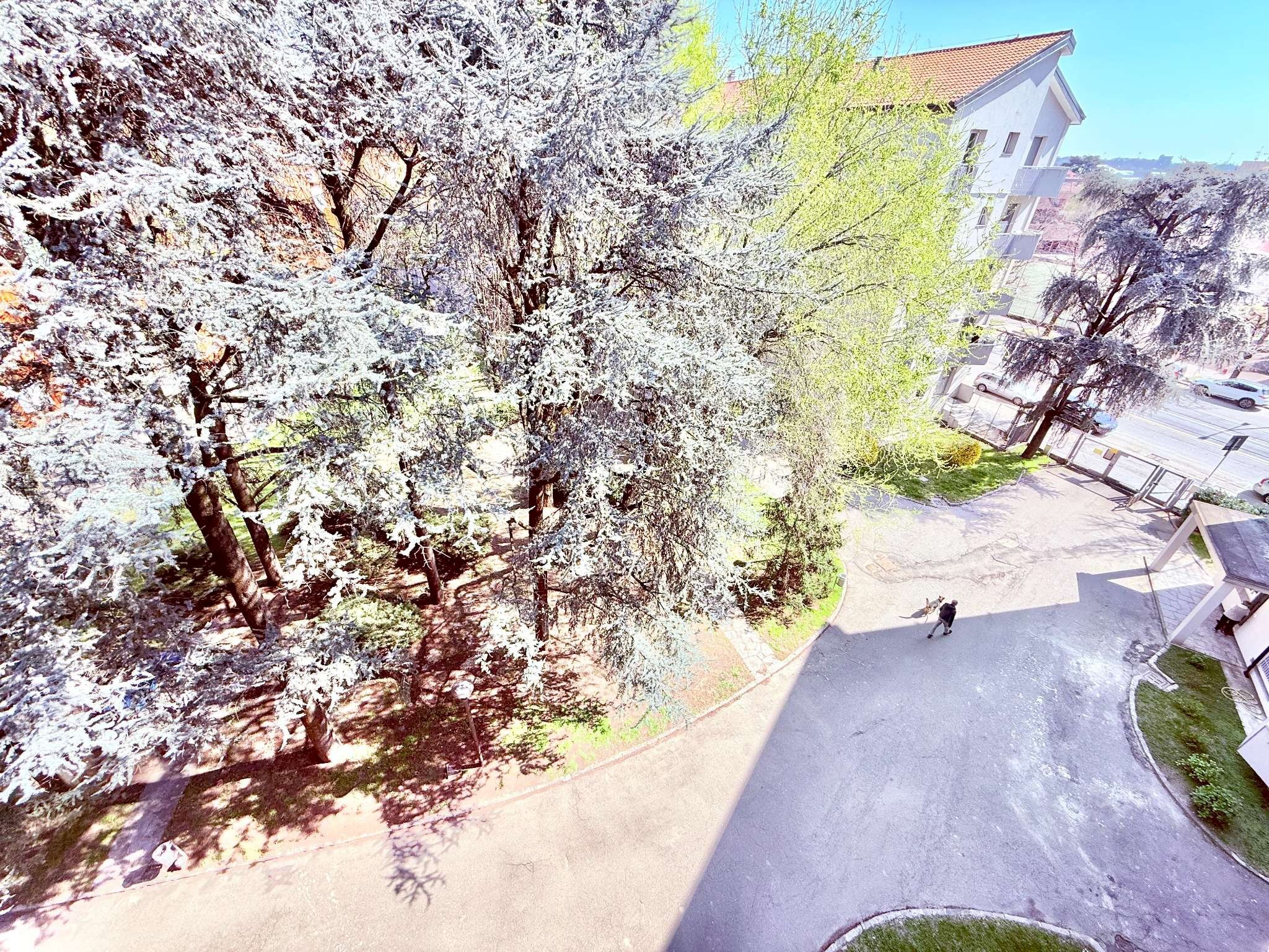 appartamento in vendita milano mecenate piano alto - Trilocale viale Ungheria, Milano - foto 3