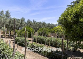 Terreno - Villa Località Zilleria, Gasperina - foto 28