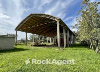 Terreno - Rustico podere santo ottaviano 74, Pomarance - foto 6