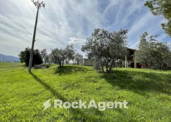 Terreno - Rustico podere santo ottaviano 74, Pomarance - foto 18