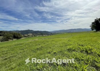 Terreno - Rustico podere santo ottaviano 74, Pomarance - foto 19