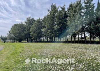 Terreno - Rustico podere santo ottaviano 74, Pomarance - foto 30