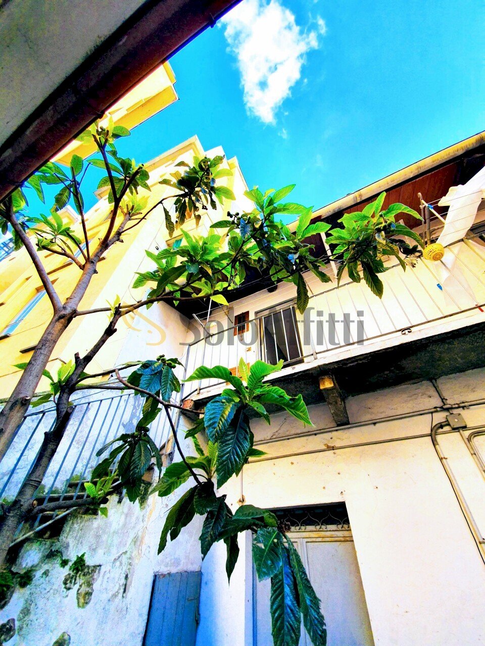 20190530_182844.jpg - Two-room apartment Via San Donato 53, Torino (neighborhood San Donato) - photo 3