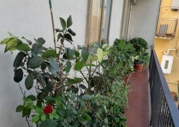 WhatsApp Image 2026-05-19 at 10.26.42 - Appartamento Via Fabio Filzi 9, Prato - foto 19