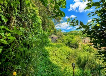 Casa indipendente Salita della Casa Bianca, La Spezia - foto 30