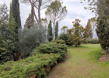 IMG_20220304_123316.jpg - Independent house Via del Convento 96, Terni - photo 30