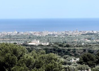 vista - Villa Contrada Peroscia 56, Monopoli - foto 27
